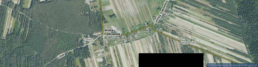 Zdjęcie satelitarne Wólka Pętkowska ul.
